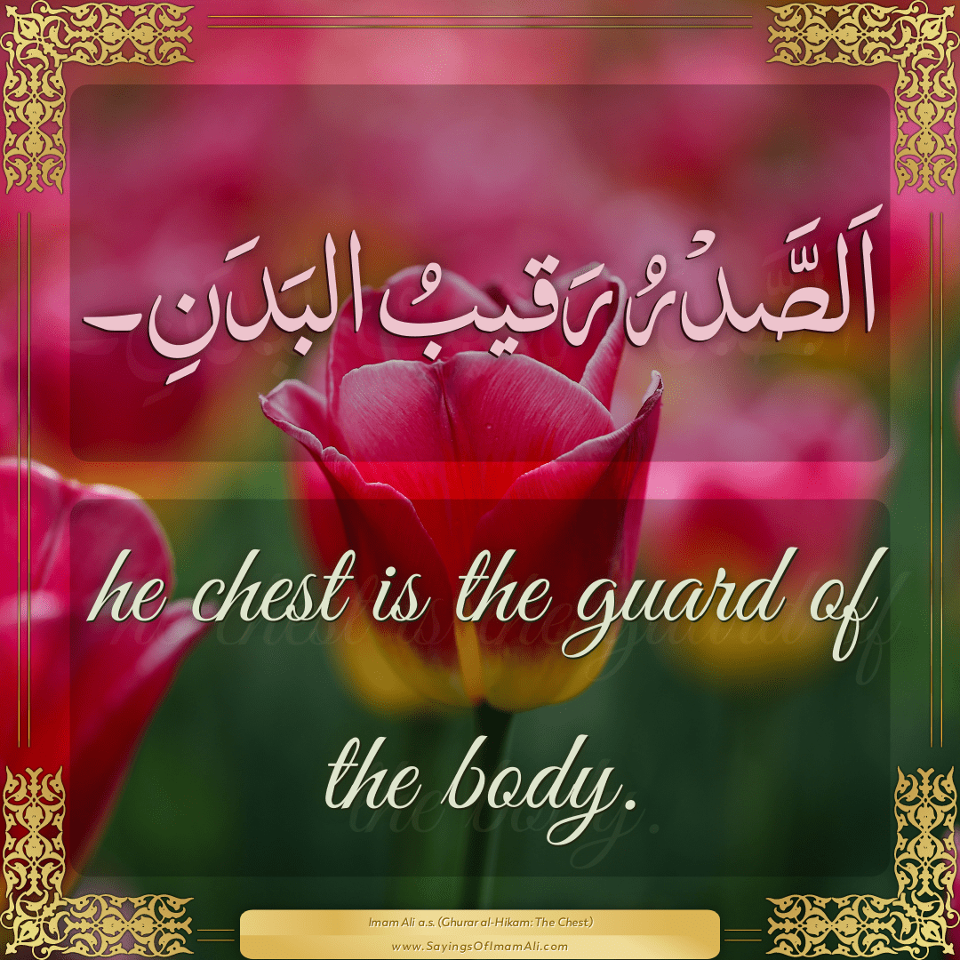 he chest is the guard of the body.